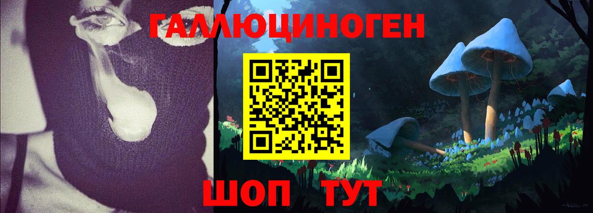 Галлюциногенные грибы мицелий Кандалакша