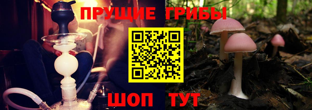 Кандалакша  Галлюциногенные грибы Cubensis  Псилоцибиновые грибы мицелий  Вход с VPN 