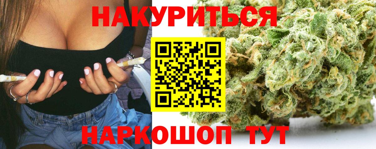 Конопля гибрид Кандалакша